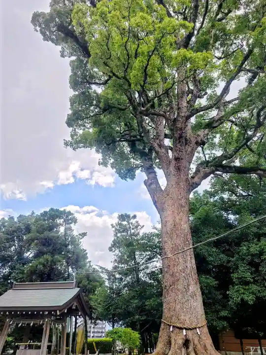 健軍神社(熊本県)