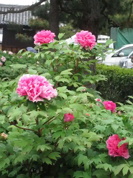 建仁寺(建仁禅寺)の庭園