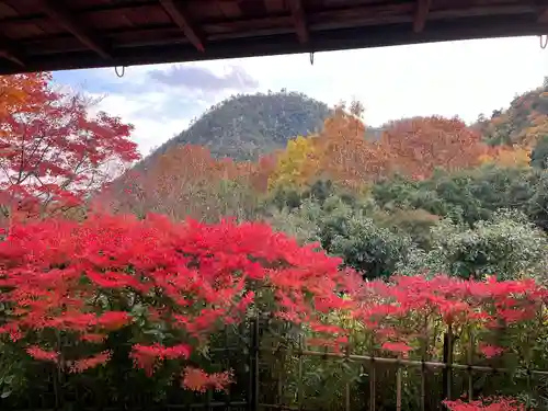 光悦寺(京都府)