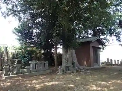 神明神社の建物その他