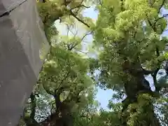 阿倍王子神社の自然