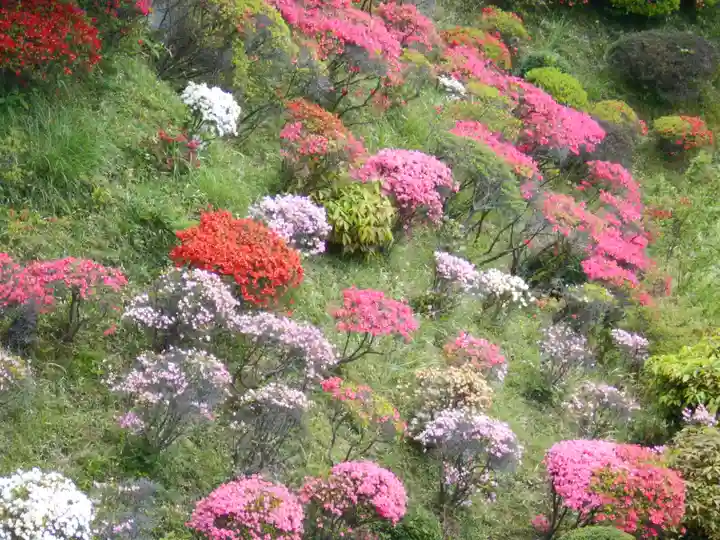 仏行寺(佛行寺)の庭園