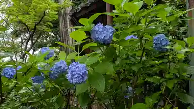 真正極楽寺(真如堂)(京都府)