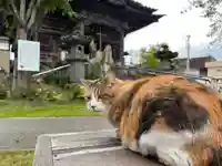 秩父札所十三番 慈眼寺(埼玉県)