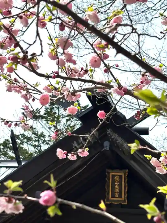 錦山天満宮の{uncategorized: "未分類", other: "その他", undefined: "問題あり", building: "その他建物", grave: "お墓", sacred_gate: "鳥居", guardian: "狛犬", statue: "像", buddha: "仏像", history: "歴史", nature: "自然", garden: "庭園", animal: "動物", pagoda: "塔", temizu: "手水舎", mountain_gate: "山門・神門", sanctuary: "本殿・本堂", subordinate: "末社・摂社", art: "芸術", scenery: "景色", jizo: "地蔵", ema: "絵馬", goshuin: "御朱印", omikuji: "おみくじ", items: "授与品その他", amulet: "お守り", goshuincho: "御朱印帳", eats: "食事", festival: "お祭り", votive_dance: "神楽", shichigosan: "七五三参", wedding: "結婚式", experience: "体験その他", initially: "初詣", around: "周辺", anti_infection: "感染症対策"}