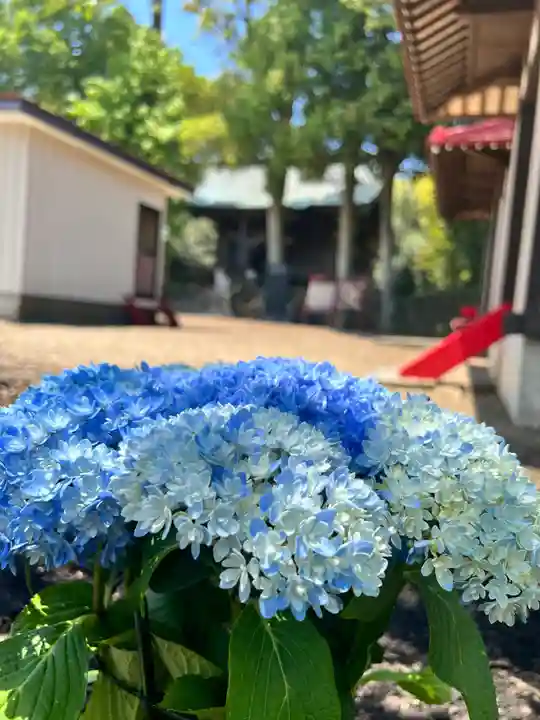 鹿島台神社の自然