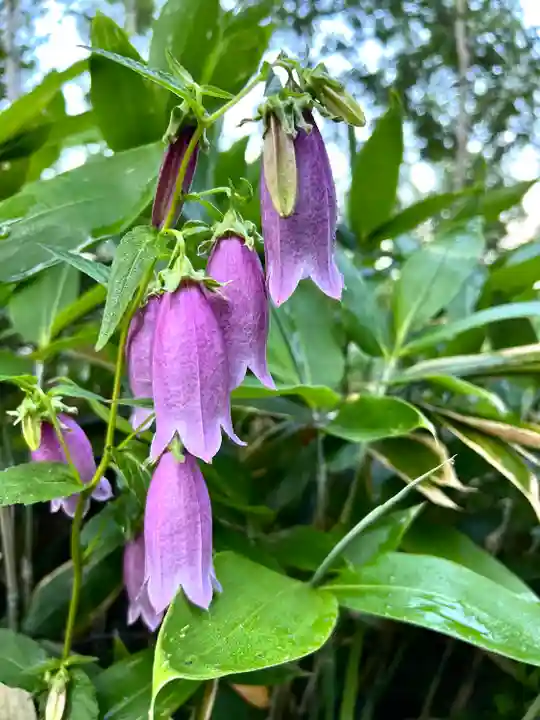 禰固岳神社(長野県)