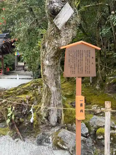 賀茂別雷神社（上賀茂神社）(京都府)