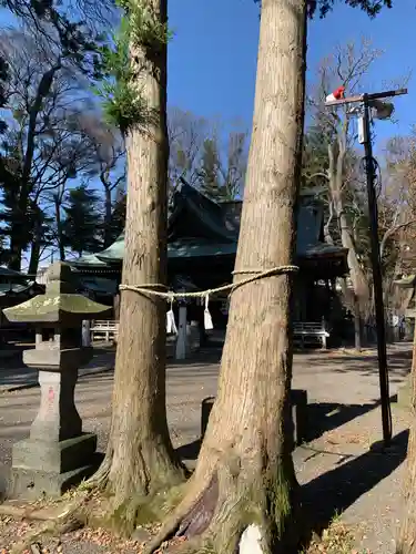 小室浅間神社の自然