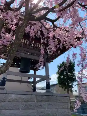 浄得寺のその他建物