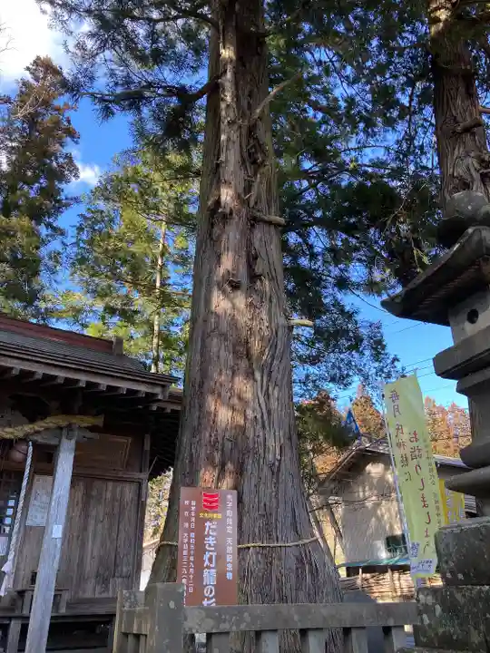 鹿島神社(茨城県)