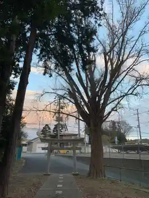 清水神社(千葉県)