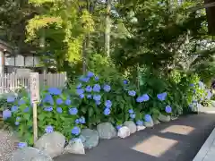 旭川神社(北海道)