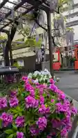 藤之宮 春日神社(野田の藤跡)(大阪府)