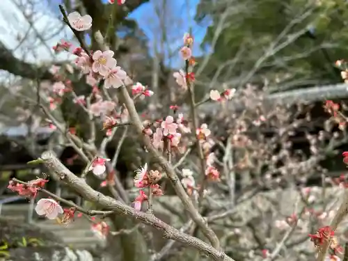 吉備津神社の{uncategorized: "未分類", other: "その他", undefined: "問題あり", building: "その他建物", grave: "お墓", sacred_gate: "鳥居", guardian: "狛犬", statue: "像", buddha: "仏像", history: "歴史", nature: "自然", garden: "庭園", animal: "動物", pagoda: "塔", temizu: "手水舎", mountain_gate: "山門・神門", sanctuary: "本殿・本堂", subordinate: "末社・摂社", art: "芸術", scenery: "景色", jizo: "地蔵", ema: "絵馬", goshuin: "御朱印", omikuji: "おみくじ", items: "授与品その他", amulet: "お守り", goshuincho: "御朱印帳", eats: "食事", festival: "お祭り", votive_dance: "神楽", shichigosan: "七五三参", wedding: "結婚式", experience: "体験その他", initially: "初詣", around: "周辺", anti_infection: "感染症対策"}