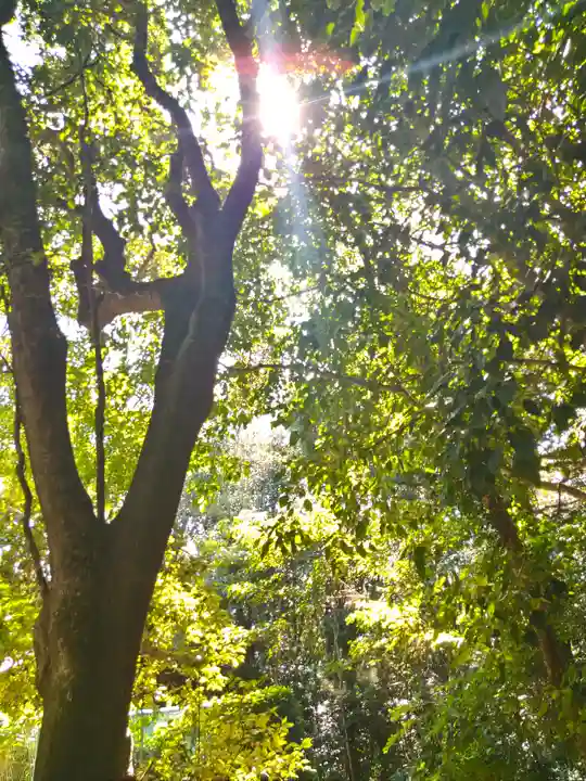 牛窓神社の自然