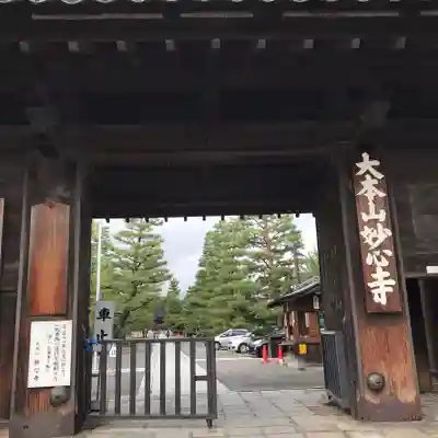 妙心寺（妙心禅寺）の山門・神門