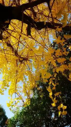 尾張大國霊神社（国府宮）の自然