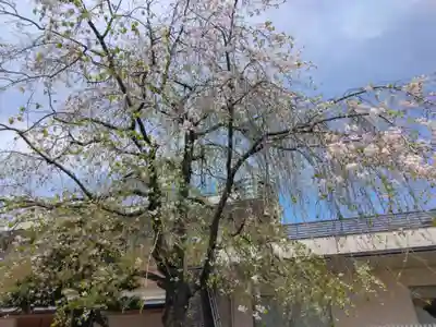 観音寺(東京都)
