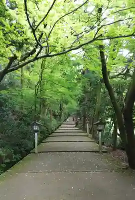 白山比咩神社のその他建物