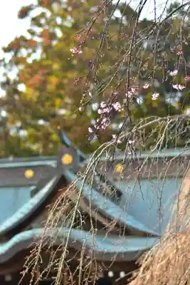 常陸第三宮 吉田神社(茨城県)