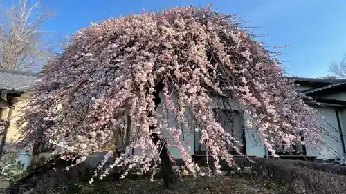 朝日森天満宮の庭園