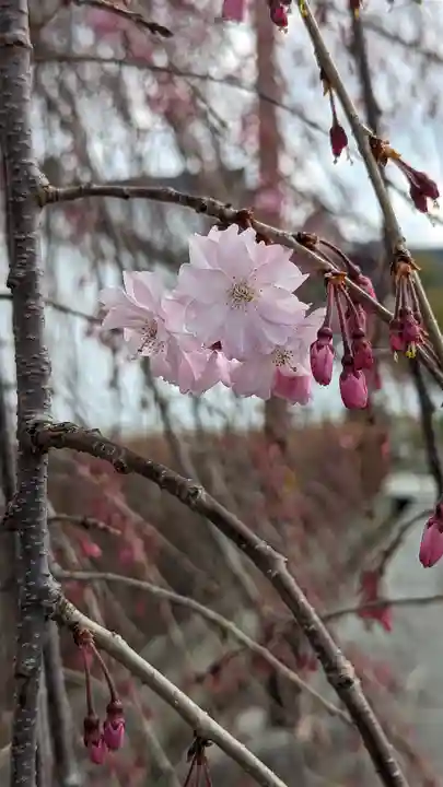 西住院(京都府)