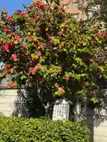 八幡社(大秋八幡社)(愛知県)