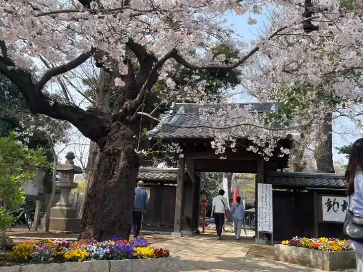 明王院(満願寺別院)(東京都)