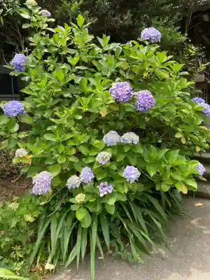 円応寺(神奈川県)