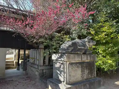 河内國魂神社の{uncategorized: "未分類", other: "その他", undefined: "問題あり", building: "その他建物", grave: "お墓", sacred_gate: "鳥居", guardian: "狛犬", statue: "像", buddha: "仏像", history: "歴史", nature: "自然", garden: "庭園", animal: "動物", pagoda: "塔", temizu: "手水舎", mountain_gate: "山門・神門", sanctuary: "本殿・本堂", subordinate: "末社・摂社", art: "芸術", scenery: "景色", jizo: "地蔵", ema: "絵馬", goshuin: "御朱印", omikuji: "おみくじ", items: "授与品その他", amulet: "お守り", goshuincho: "御朱印帳", eats: "食事", festival: "お祭り", votive_dance: "神楽", shichigosan: "七五三参", wedding: "結婚式", experience: "体験その他", initially: "初詣", around: "周辺", anti_infection: "感染症対策"}