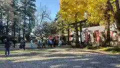 大神神社(栃木県)