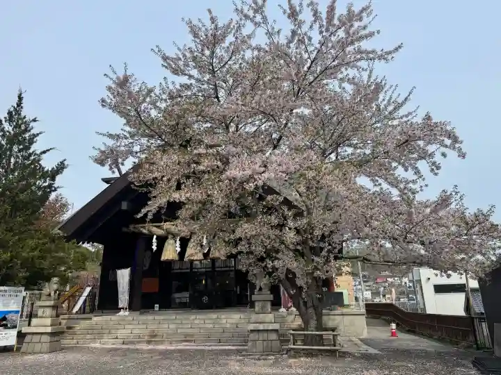 龍宮神社の{uncategorized: "未分類", other: "その他", undefined: "問題あり", building: "その他建物", grave: "お墓", sacred_gate: "鳥居", guardian: "狛犬", statue: "像", buddha: "仏像", history: "歴史", nature: "自然", garden: "庭園", animal: "動物", pagoda: "塔", temizu: "手水舎", mountain_gate: "山門・神門", sanctuary: "本殿・本堂", subordinate: "末社・摂社", art: "芸術", scenery: "景色", jizo: "地蔵", ema: "絵馬", goshuin: "御朱印", omikuji: "おみくじ", items: "授与品その他", amulet: "お守り", goshuincho: "御朱印帳", eats: "食事", festival: "お祭り", votive_dance: "神楽", shichigosan: "七五三参", wedding: "結婚式", experience: "体験その他", initially: "初詣", around: "周辺", anti_infection: "感染症対策"}
