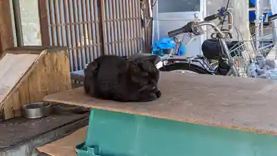 頂妙寺(京都府)