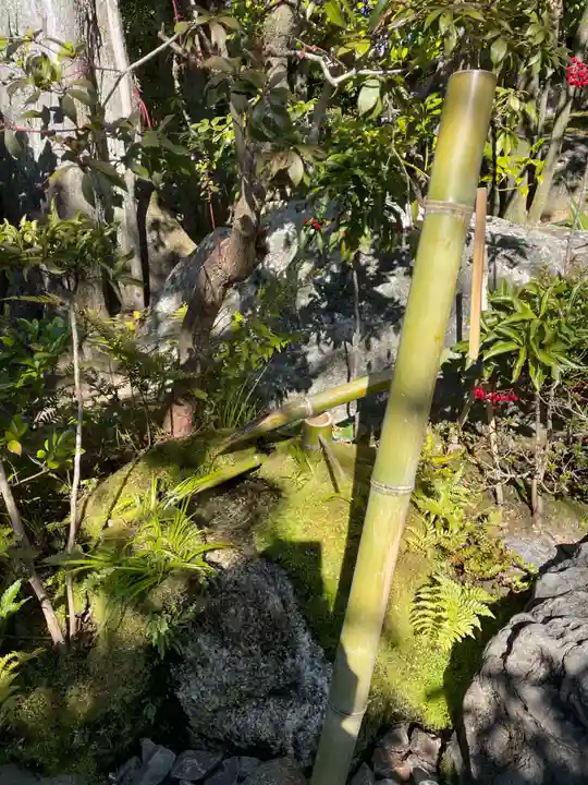 退蔵院(京都府)