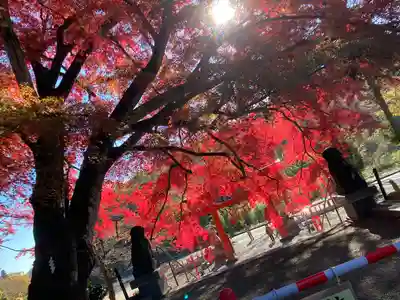 賀茂神社(宮城県)