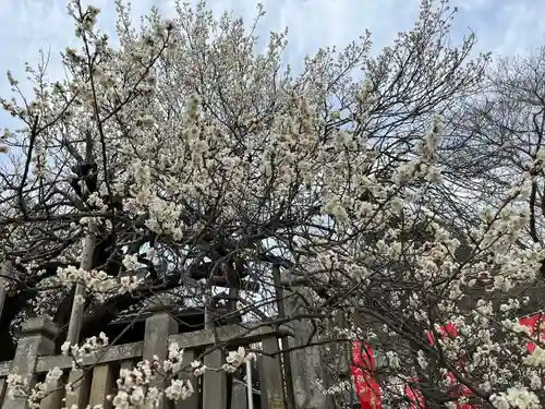  高鳥天満宮の自然