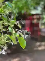 手力雄神社(岐阜県)