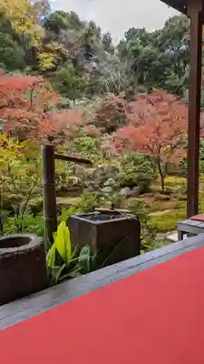 実相院門跡(京都府)