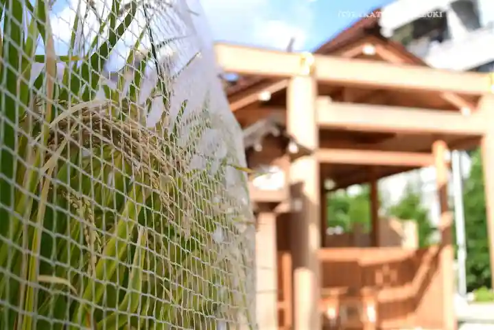 【閉業】小石川大神宮(東京都)