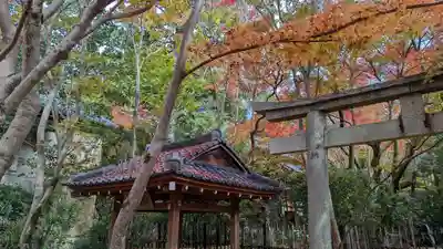 蓮華寺（洛北蓮華寺）(京都府)