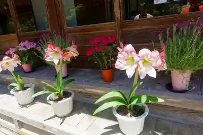 金剛三昧院のその他建物