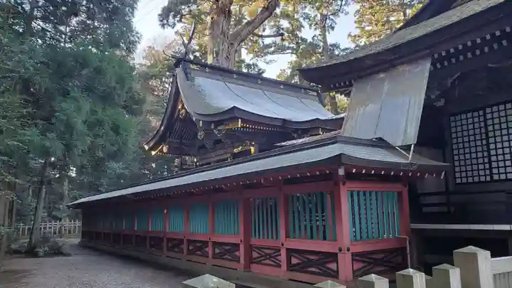 鹿島神宮(茨城県)