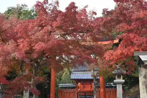 天龍寺の鳥居