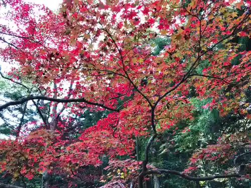 聖寳寺の庭園