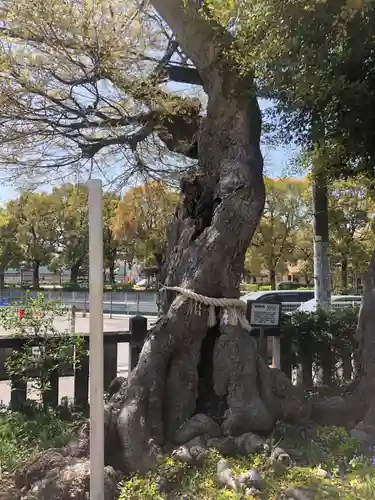 水堂須佐男神社(兵庫県)