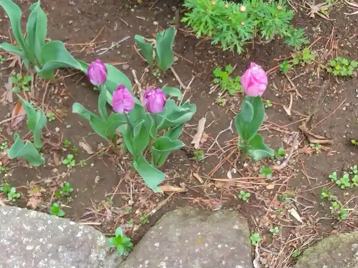 八幡山観音寺(神奈川県)