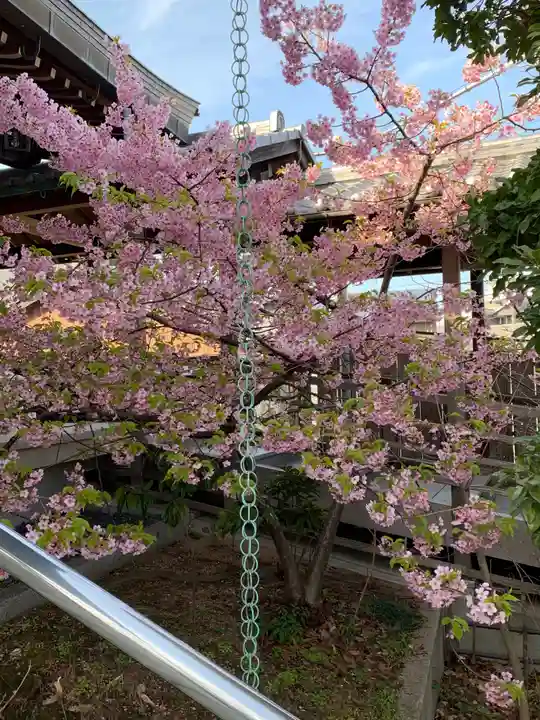 無量光寺の自然