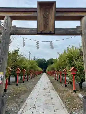 朝日森天満宮(栃木県)