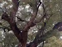 村上社(愛知県)